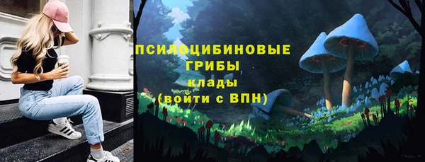 шишки Алзамай