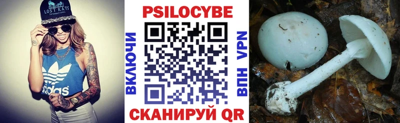 Галлюциногенные грибы мицелий  где найти наркотики  Болхов 